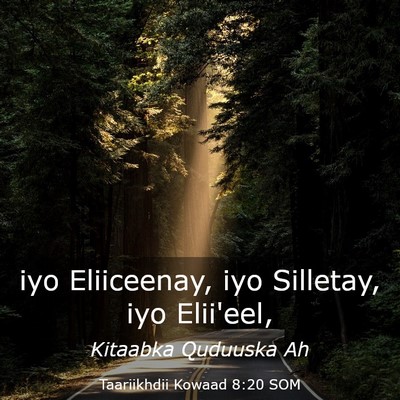 Picture 03 - Taariikhdii Kowaad 8:20 SOM - iyo Eliiceenay, iyo Silletay, iyo - Bible Verse Picture