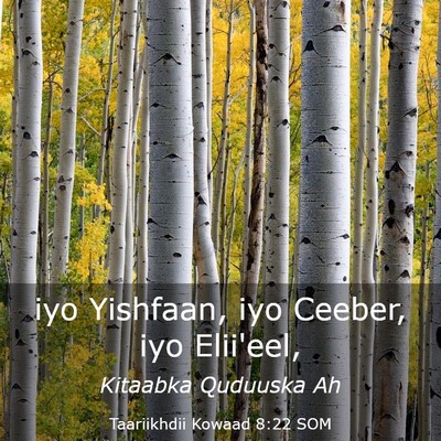 Picture 03 - Taariikhdii Kowaad 8:22 SOM - iyo Yishfaan, iyo Ceeber, iyo - Bible Verse Picture