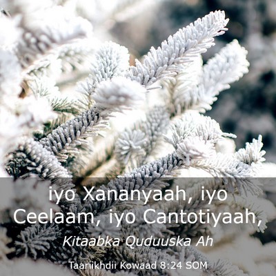 Picture 03 - Taariikhdii Kowaad 8:24 SOM - iyo Xananyaah, iyo Ceelaam, iyo - Bible Verse Picture
