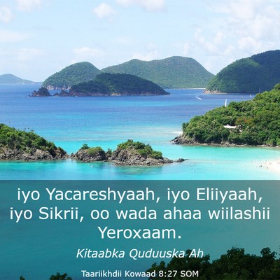 Picture 03 - Taariikhdii Kowaad 8:27 SOM - iyo Yacareshyaah, iyo Eliiyaah, iyo Sikrii, oo - Bible Verse Picture