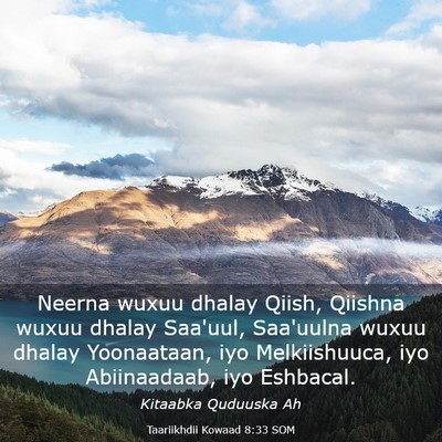 Picture 03 - Taariikhdii Kowaad 8:33 SOM - Neerna wuxuu dhalay Qiish, Qiishna wuxuu dhalay - Bible Verse Picture