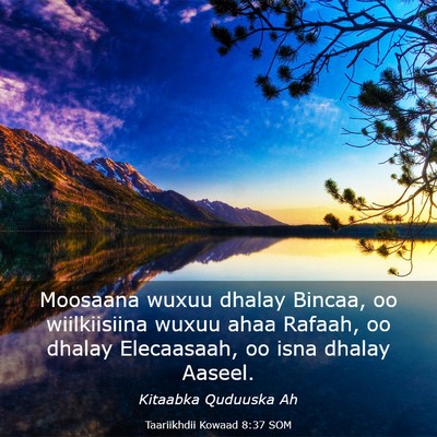 Picture 03 - Taariikhdii Kowaad 8:37 SOM - Moosaana wuxuu dhalay Bincaa, oo wiilkiisiina - Bible Verse Picture