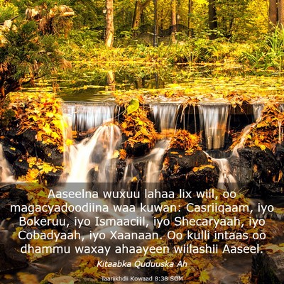 Picture 03 - Taariikhdii Kowaad 8:38 SOM - Aaseelna wuxuu lahaa lix wiil, oo magacyadoodiina - Bible Verse Picture
