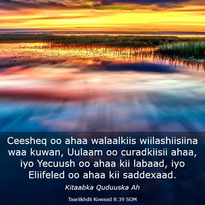 Picture 03 - Taariikhdii Kowaad 8:39 SOM - Ceesheq oo ahaa walaalkiis wiilashiisiina waa - Bible Verse Picture