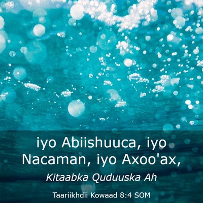 Picture 03 - Taariikhdii Kowaad 8:4 SOM - iyo Abiishuuca, iyo Nacaman, iyo - Bible Verse Picture