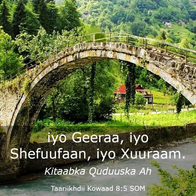 Picture 03 - Taariikhdii Kowaad 8:5 SOM - iyo Geeraa, iyo Shefuufaan, iyo - Bible Verse Picture