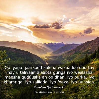 Picture 03 - Taariikhdii Kowaad 9:29 SOM - Oo iyaga qaarkood kalena waxaa loo doortay inay u - Bible Verse Picture