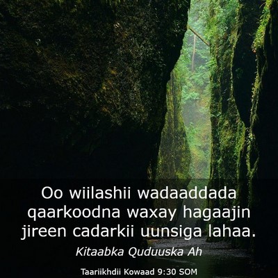 Picture 03 - Taariikhdii Kowaad 9:30 SOM - Oo wiilashii wadaaddada qaarkoodna waxay hagaajin - Bible Verse Picture