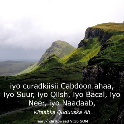 Picture 03 - Taariikhdii Kowaad 9:36 SOM - iyo curadkiisii Cabdoon ahaa, iyo Suur, iyo - Bible Verse Picture