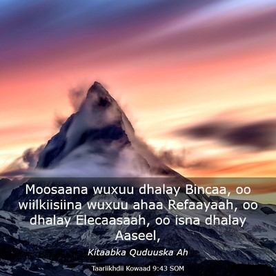Picture 03 - Taariikhdii Kowaad 9:43 SOM - Moosaana wuxuu dhalay Bincaa, oo wiilkiisiina - Bible Verse Picture