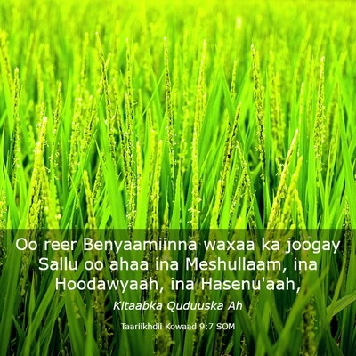 Picture 03 - Taariikhdii Kowaad 9:7 SOM - Oo reer Benyaamiinna waxaa ka joogay Sallu oo - Bible Verse Picture