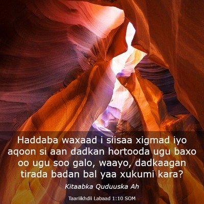 Picture 03 - Taariikhdii Labaad 1:10 SOM - Haddaba waxaad i siisaa xigmad iyo aqoon si aan - Bible Verse Picture