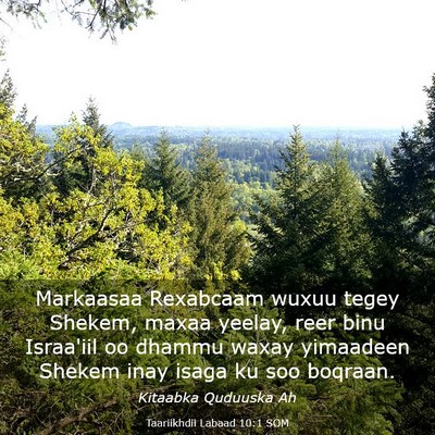 Picture 03 - Taariikhdii Labaad 10:1 SOM - Markaasaa Rexabcaam wuxuu tegey Shekem, maxaa - Bible Verse Picture