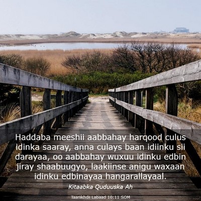 Picture 03 - Taariikhdii Labaad 10:11 SOM - Haddaba meeshii aabbahay harqood culus idinka - Bible Verse Picture