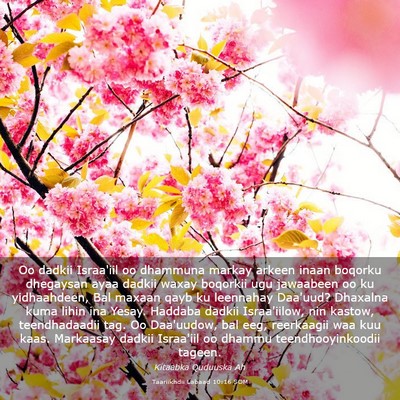 Picture 03 - Taariikhdii Labaad 10:16 SOM - Oo dadkii Israa'iil oo dhammuna markay arkeen - Bible Verse Picture