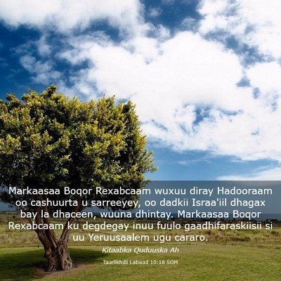 Picture 03 - Taariikhdii Labaad 10:18 SOM - Markaasaa Boqor Rexabcaam wuxuu diray Hadooraam - Bible Verse Picture