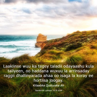 Picture 03 - Taariikhdii Labaad 10:8 SOM - Laakiinse wuu ka tegey taladii odayaashu kula - Bible Verse Picture