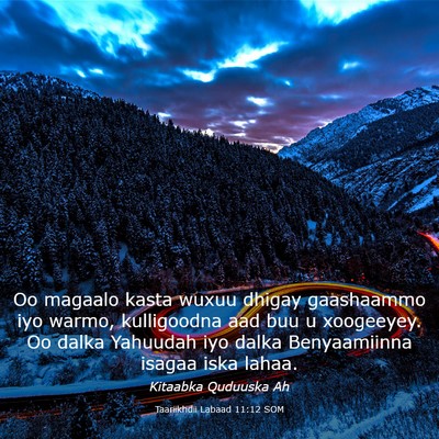 Picture 03 - Taariikhdii Labaad 11:12 SOM - Oo magaalo kasta wuxuu dhigay gaashaammo iyo - Bible Verse Picture