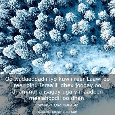 Picture 03 - Taariikhdii Labaad 11:13 SOM - Oo wadaaddadii iyo kuwii reer Laawi oo reer binu - Bible Verse Picture