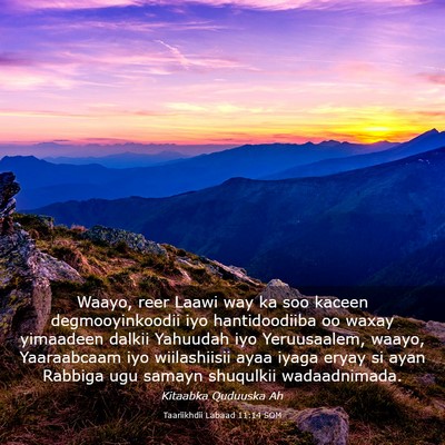 Picture 03 - Taariikhdii Labaad 11:14 SOM - Waayo, reer Laawi way ka soo kaceen - Bible Verse Picture