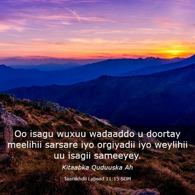 Picture 03 - Taariikhdii Labaad 11:15 SOM - Oo isagu wuxuu wadaaddo u doortay meelihii - Bible Verse Picture