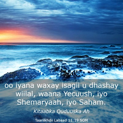 Picture 03 - Taariikhdii Labaad 11:19 SOM - oo iyana waxay isagii u dhashay wiilal, waana - Bible Verse Picture