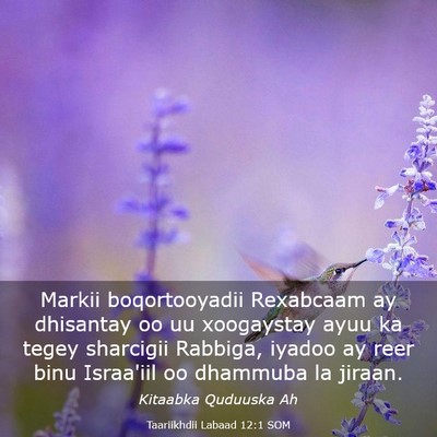 Picture 03 - Taariikhdii Labaad 12:1 SOM - Markii boqortooyadii Rexabcaam ay dhisantay oo uu - Bible Verse Picture