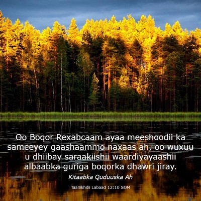 Picture 03 - Taariikhdii Labaad 12:10 SOM - Oo Boqor Rexabcaam ayaa meeshoodii ka sameeyey - Bible Verse Picture