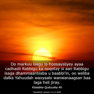 Picture 03 - Taariikhdii Labaad 12:12 SOM - Oo markuu isagu is-hoosaysiiyey ayaa cadhadii - Bible Verse Picture