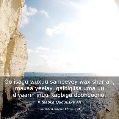 Picture 03 - Taariikhdii Labaad 12:14 SOM - Oo isagu wuxuu sameeyey wax shar ah, maxaa - Bible Verse Picture