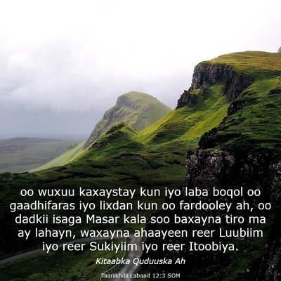 Picture 03 - Taariikhdii Labaad 12:3 SOM - oo wuxuu kaxaystay kun iyo laba boqol oo - Bible Verse Picture