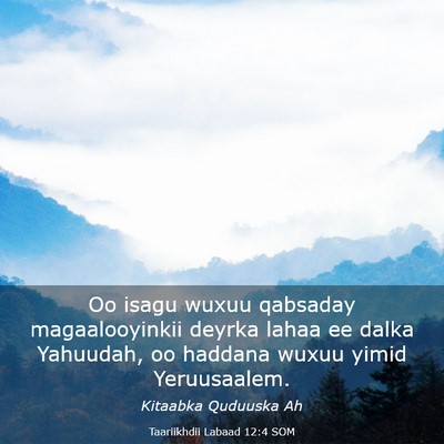 Picture 03 - Taariikhdii Labaad 12:4 SOM - Oo isagu wuxuu qabsaday magaalooyinkii deyrka - Bible Verse Picture