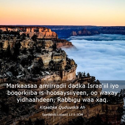 Picture 03 - Taariikhdii Labaad 12:6 SOM - Markaasaa amiirradii dadka Israa'iil iyo - Bible Verse Picture
