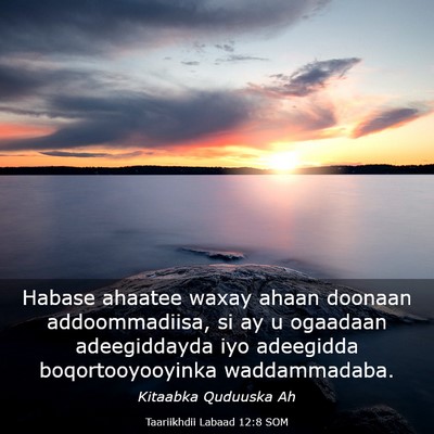 Picture 03 - Taariikhdii Labaad 12:8 SOM - Habase ahaatee waxay ahaan doonaan addoommadiisa, - Bible Verse Picture