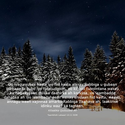 Picture 03 - Taariikhdii Labaad 13:11 SOM - Oo iyagu subax kasta iyo fiid kasta waxay Rabbiga - Bible Verse Picture