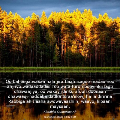 Picture 03 - Taariikhdii Labaad 13:12 SOM - Oo bal eega waxaa nala jira Ilaah isagoo madax - Bible Verse Picture