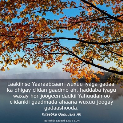 Picture 03 - Taariikhdii Labaad 13:13 SOM - Laakiinse Yaaraabcaam wuxuu iyaga gadaal ka - Bible Verse Picture