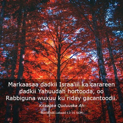Picture 03 - Taariikhdii Labaad 13:16 SOM - Markaasaa dadkii Israa'iil ka carareen dadkii - Bible Verse Picture