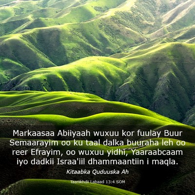 Picture 03 - Taariikhdii Labaad 13:4 SOM - Markaasaa Abiiyaah wuxuu kor fuulay Buur - Bible Verse Picture