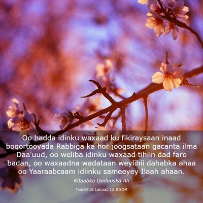 Picture 03 - Taariikhdii Labaad 13:8 SOM - Oo hadda idinku waxaad ku fikiraysaan inaad - Bible Verse Picture