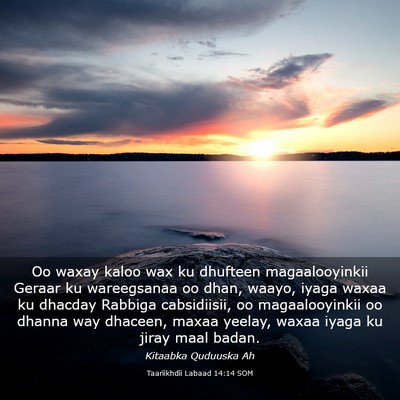 Picture 03 - Taariikhdii Labaad 14:14 SOM - Oo waxay kaloo wax ku dhufteen magaalooyinkii - Bible Verse Picture