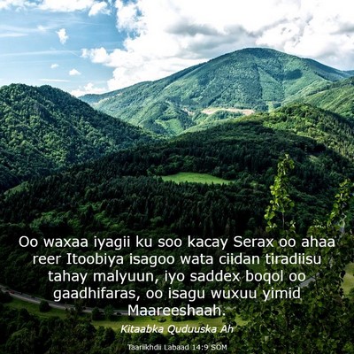 Picture 03 - Taariikhdii Labaad 14:9 SOM - Oo waxaa iyagii ku soo kacay Serax oo ahaa reer - Bible Verse Picture