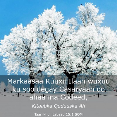 Picture 03 - Taariikhdii Labaad 15:1 SOM - Markaasaa Ruuxii Ilaah wuxuu ku soo degay - Bible Verse Picture