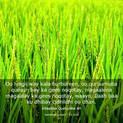 Picture 03 - Taariikhdii Labaad 15:6 SOM - Oo iyagii way kala burbureen, oo quruumuba quruun - Bible Verse Picture