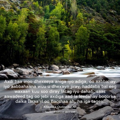 Picture 03 - Taariikhdii Labaad 16:3 SOM - Axdi baa inoo dhexeeya aniga iyo adiga, oo - Bible Verse Picture