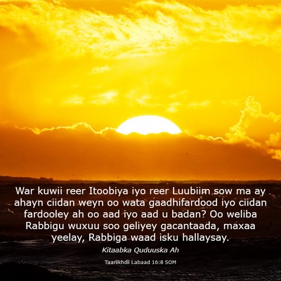 Picture 03 - Taariikhdii Labaad 16:8 SOM - War kuwii reer Itoobiya iyo reer Luubiim sow ma - Bible Verse Picture