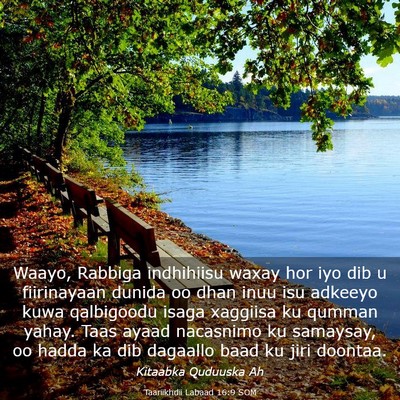 Picture 03 - Taariikhdii Labaad 16:9 SOM - Waayo, Rabbiga indhihiisu waxay hor iyo dib u - Bible Verse Picture