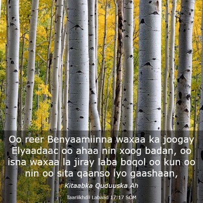 Picture 03 - Taariikhdii Labaad 17:17 SOM - Oo reer Benyaamiinna waxaa ka joogay Elyaadaac oo - Bible Verse Picture