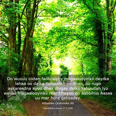 Picture 03 - Taariikhdii Labaad 17:2 SOM - Oo wuxuu ciidan fadhiisiyey magaalooyinkii deyrka - Bible Verse Picture