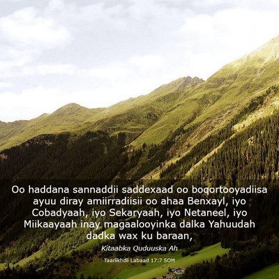 Picture 03 - Taariikhdii Labaad 17:7 SOM - Oo haddana sannaddii saddexaad oo boqortooyadiisa - Bible Verse Picture